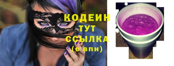 ECSTASY Ельня
