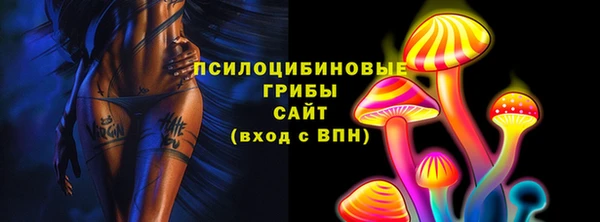 ECSTASY Ельня