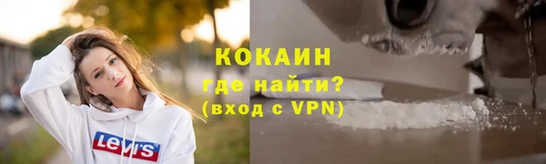 ECSTASY Ельня