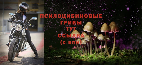 ECSTASY Ельня
