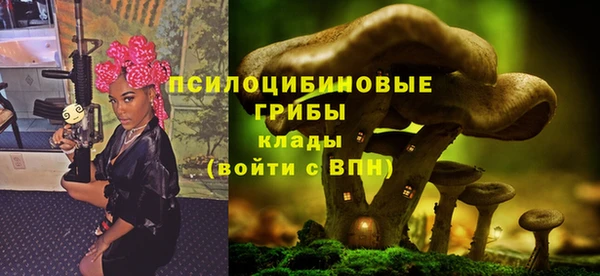 jwh Елабуга