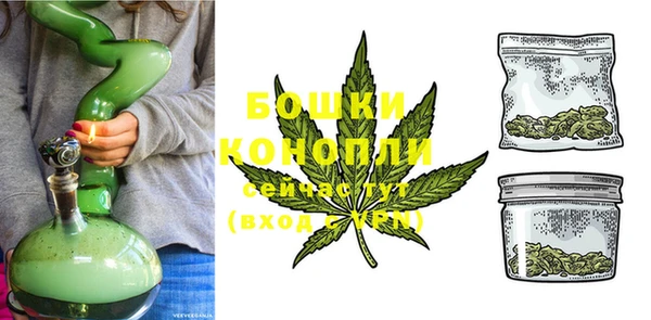 ECSTASY Ельня