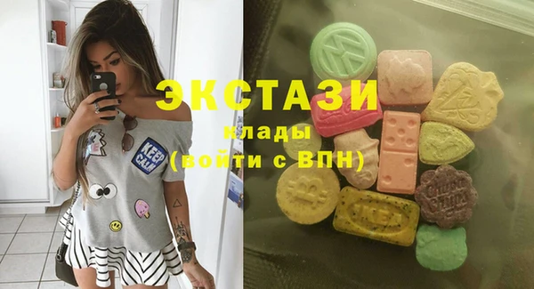 ECSTASY Ельня