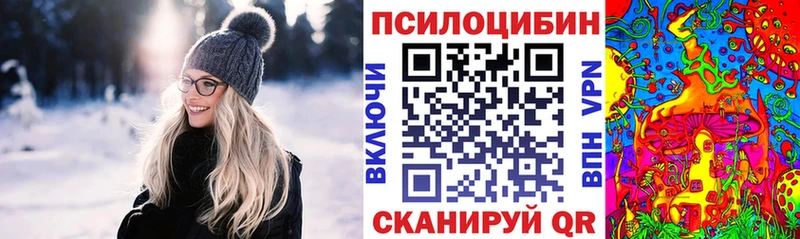 Купить закладки  Сортавала  Галлюциногенные грибы Psilocybe 